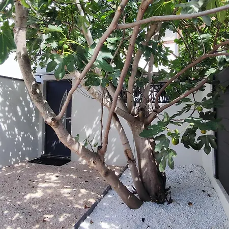 R Luxury Piscine Et Privatifs Colmar